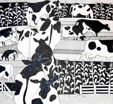 Cows in the Corn